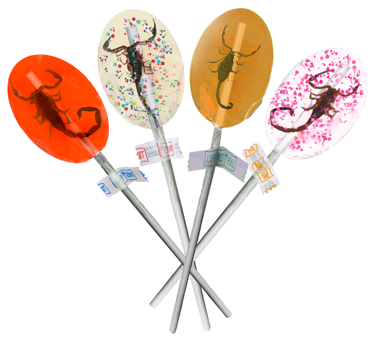 Scorpion Pops - Real Scorpions You Can Eat